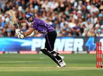 散不仅令人 散不仅令人